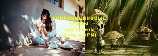 apvp Армянск