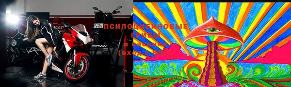 mdpv Арсеньев