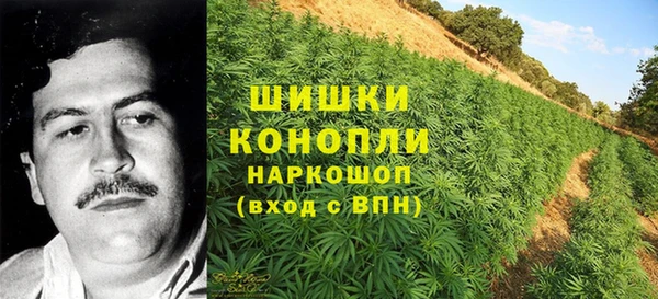 jwh Аркадак